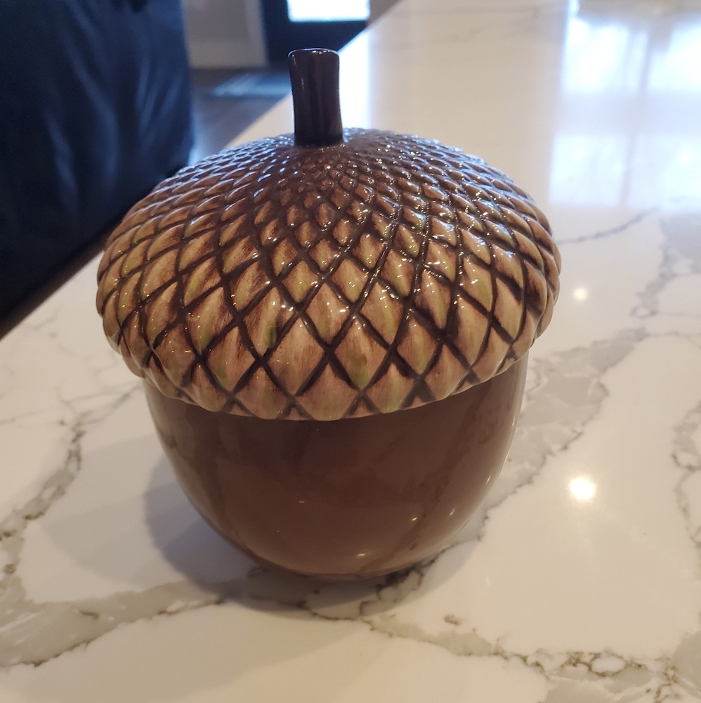 💕 Rare large Bath and body works Acorn candle